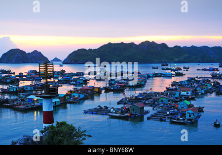 Boote und schwimmende Häuser vor Cat Ba Stadt auf Cat Ba Insel, Vietnam. Stockfoto