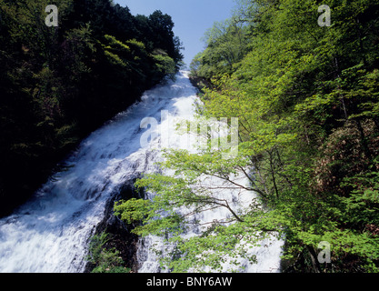 Yu-Wasserfall, Nikko, Tochigi, Japan Stockfoto