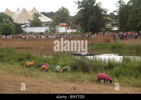 Gefärbte Schaf am Latitude Festival 2010, Southwold, Suffolk, Vereinigte, Königreich. Stockfoto