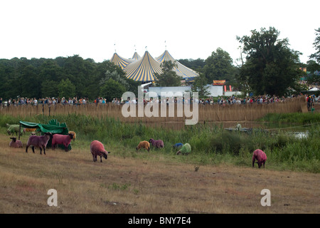 Gefärbte Schaf am Latitude Festival 2010, Southwold, Suffolk, Vereinigte, Königreich. Stockfoto