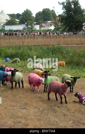 Gefärbte Schaf am Latitude Festival 2010, Southwold, Suffolk, Vereinigte, Königreich. Stockfoto