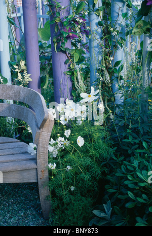 Alte hölzerne Garten Stuhl neben kleinen Rand mit weißen Kosmos vor zeitgenössischen blau lackierten Paling mit lila clematis Stockfoto