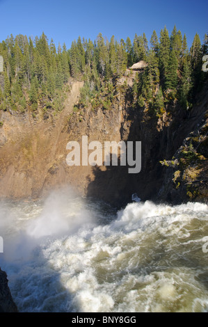 Wasserfall in Yellowstone, von oben gesehen Stockfoto