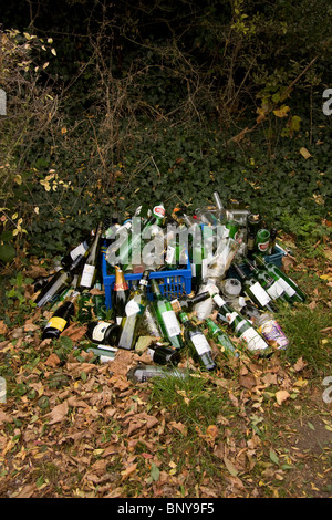 Leere Flaschen für das recycling Stockfoto