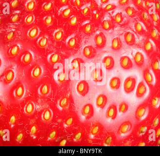 Erdbeer Texure. Makroaufnahme der Erdbeere. Stockfoto