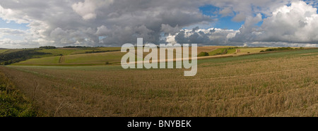 Panorama von Feldern in der Nähe von Cissbury Ringe auf der South Downs, West Sussex, UK Stockfoto