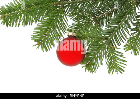 Weihnachtskugel in einen Weihnachtsbaum hängen Stockfoto