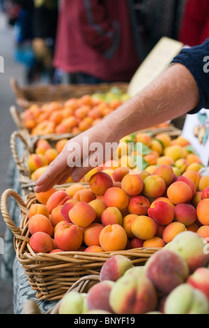 Frisches Obst auf dem Salamanca Market am Salamanca Place. Hobart, Tasmanien, Australien Stockfoto