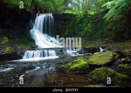 Horseshoe Falls in Mt Field National Park, Tasmanien, Australien Stockfoto