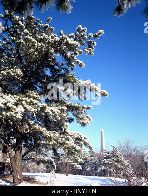 Washington Monument im Winter vom Park aus gesehen Stockfoto