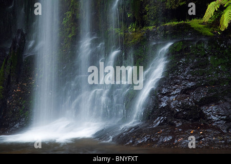 Russell verliebt sich in Mt Field National Park, Tasmanien, Australien Stockfoto