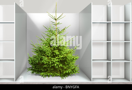 Weihnachtsbaum auf dem Regal in einem Kaufhaus Stockfoto