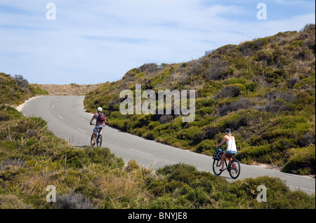 Touristen-Zyklus zwischen Stränden auf Rottnest Island, Offshore-aus Perth, Western Australia, Australien. Stockfoto