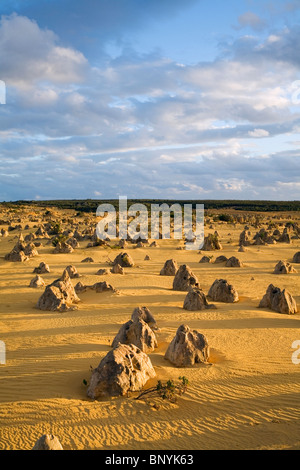 Sonnenuntergang in der Wüste Pinnacles im Nambung National Park. Cervantes, Western Australia, Australien. Stockfoto