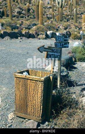 Mülltonne aus Kaktus Trichocereus nomenklatorisches Echinopsis Atacamensis auf der Isla de Los Pescadores, Salar de Uyuni, Bolivien. Stockfoto
