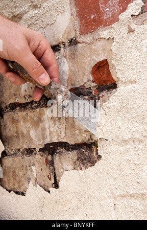 Hauswartungen, Schaben Lack abblättert schlecht gepflegt Mauerwerk benötigen zeigen Stockfoto
