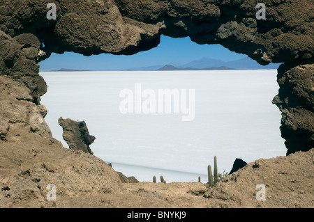 Ein Blick auf den Salzsee, auf der Isla de Los Pescadores, Salar de Uyuni, Bolivien. Stockfoto