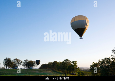 Ein Heißluftballon zieht für einen Rundflug über die Weinberge. Hunter Valley, New-South.Wales, Australien Stockfoto