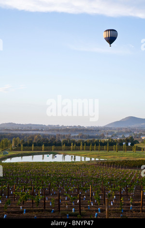 Heißluftballon fliegen über die Weinberge. Hunter Valley, New-South.Wales, Australien Stockfoto