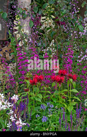 Eine bunt gemischte Blume Grenze mit Monarda "Cambridge Scarlet" Stockfoto