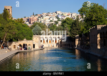 Pool von Abraham oder Balikli Gol in Sanliurfa oder Urfa, Türkei Stockfoto