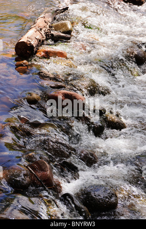 Sedona, Arizona - Red Rock State Park und Mondsichel Ranch. Oak Creek fließt über die Felsen. Stockfoto