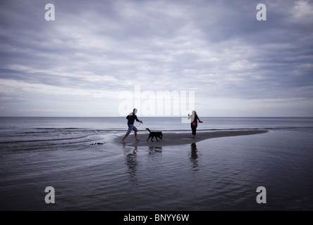 Ehepaar und Hund am Strand spielen Stockfoto
