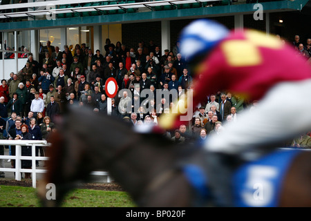 Gesamtansicht der Zuschauer bei Plumpton Race Course in East Sussex.  Bild von James Boardman. Stockfoto