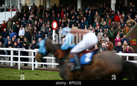 Gesamtansicht der Zuschauer bei Plumpton Race Course in East Sussex.  Bild von James Boardman. Stockfoto