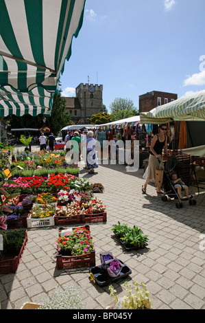 Markt-Händler verkaufen Pflanzen und Blumen an einem Stand an dem Platz Petersfield Marktflecken im südlichen England Hampshire UK Stockfoto