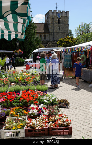 Markt-Händler verkaufen Pflanzen und Blumen an einem Stand an dem Platz Petersfield Marktflecken im südlichen England Hampshire UK Stockfoto