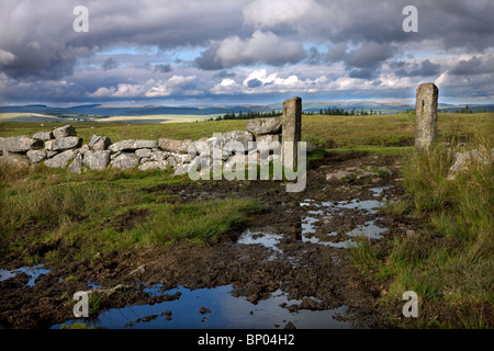 Alten Tor und Stein Mauer auf Dartmoor National Park. Stockfoto