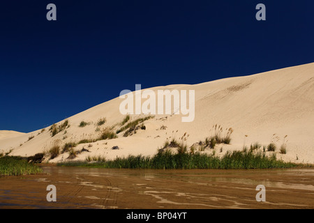 Der Te Paki Dampf und Sanddünen im neuen Neuseelands Northland. Stockfoto