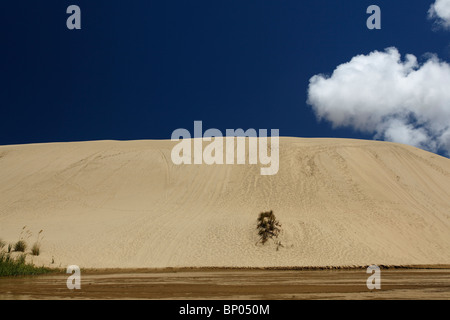 Der Te Paki Dampf und Sanddünen im neuen Neuseelands Northland. Stockfoto