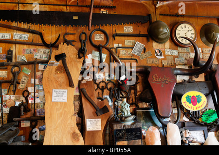 Alte Gegenstände und Erinnerungsstücke an den Wänden des Puhoi Pub, Neuseeland Stockfoto