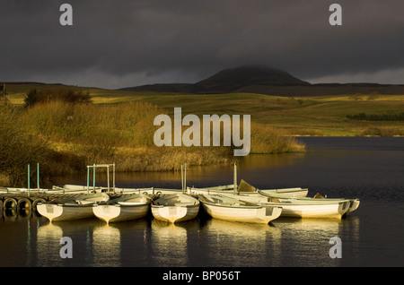 Angelboote/Fischerboote an der Holl Reservoir und die Fischerei in den Hügeln von Lomond, Fife, Schottland, mit dem West Lomond in der Ferne. Stockfoto