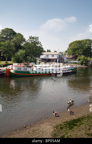 Twickenham Boat Club und festgemachten Boote, Eel Pie Insel, gesehen vom Ufer Flusses Themse, Twickenham, Richmond, London UK Stockfoto