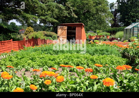 Gemüsesorten eine Zuteilung, Surrey, England, UK Stockfoto