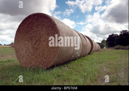 Reihe von Rundballen auf Ackerland in Norfolk. Stockfoto