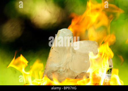 Eisblockade aufgrund der schnellen Brandausbreitung. Konzeptionelle Arbeiten über Feuer in den Wäldern. Ein schmelzender Eiswürfel, umgeben von hellen orangen Flammen. Stockfoto