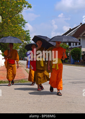 Junge Mönche auf der Straße von Luang Prabang, Nordlaos Stockfoto