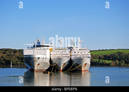 Frachtschiffe "aufgelegt" im tiefen Wasser auf dem Fluss Fal in der Nähe von Truro in Cornwall, Großbritannien Stockfoto
