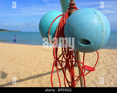 Fischen schwimmt auf die Insel Koh Samui, Thailand Stockfoto