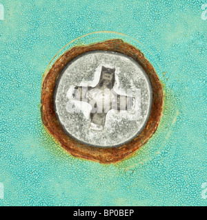 Schraubenkopf mit cross-Spielautomaten - close-up auf blauen Oberfläche Stockfoto
