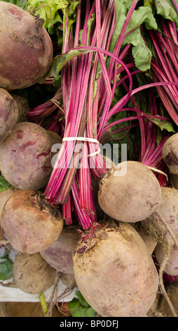 Rüben in einen Bauernmarkt Stockfoto