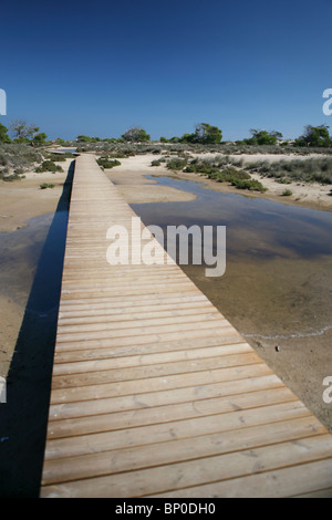 Promenade in San Pedro del Pinatar Regionalpark, Salinas de San Pedro. Stockfoto