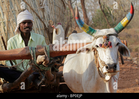 Indien, Madhya Pradesh. Ein Ochsen gezogenen Karren mit Korn in der Nähe von Satpura Nationalpark. Stockfoto