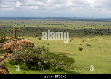 Kenia, Chyulu Hills, Ol Donyo Wuas. Zeigen Sie über die Prärie an. Stockfoto