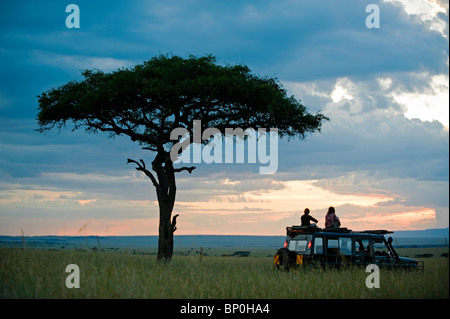 Kenia, Masai Mara. Eine Pause für einen Sundowner unter einem Baum Balanites während einer Pirschfahrt auf einem Familien-Safari. (MR) Stockfoto