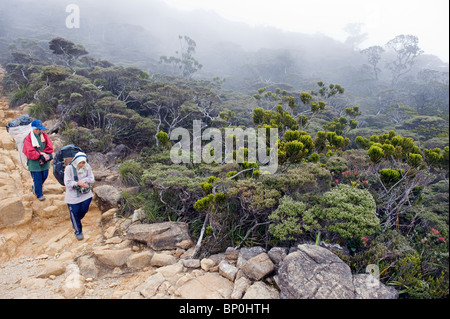 Süd-Ost-Asien, Malaysia, Borneo, Sabah, Kinabalu National Park, Malaysias höchster Berg (4095m), weibliche Träger Stockfoto